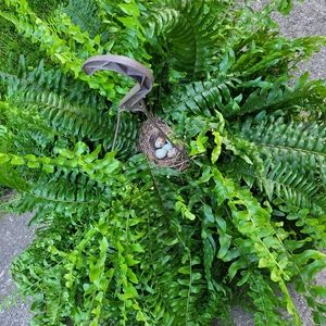 Meet your Posher, Marcie